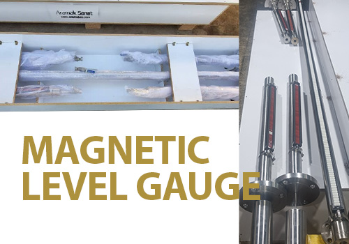 Top mount Magnetic level gauge