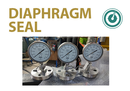  Diaphragm Seal with pulsation dampener