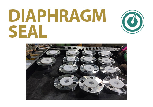 Diaphragm Seal 