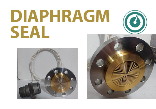 Gold Coated Diaphragm Seal