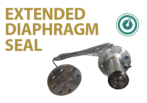 Extended Diaphragm seal 